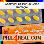 Comment Utiliser La Gelée Kamagra new05